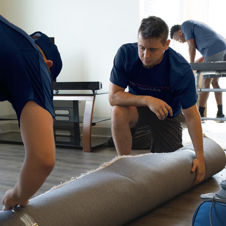Team members from Motivated Movers roll up a rug, showing attention to detail in moving and home setup.