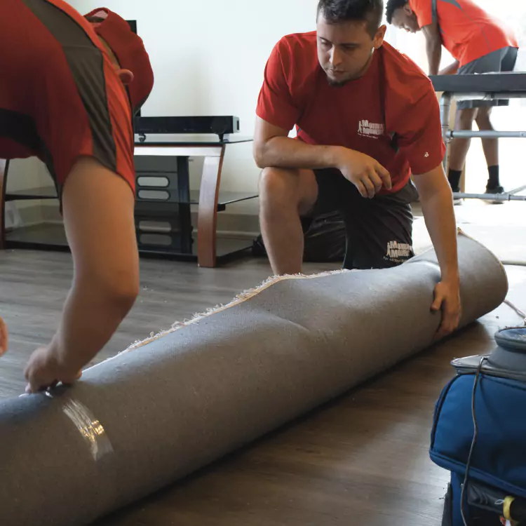 Team members from Motivated Movers roll up a rug, showing attention to detail in moving and home setup.